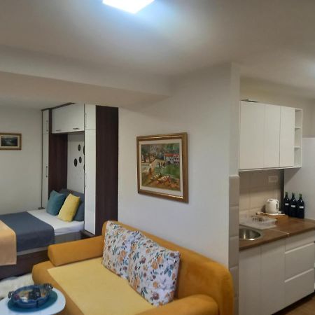 T-A Apartment Rijeka Crnojevica Ngoại thất bức ảnh