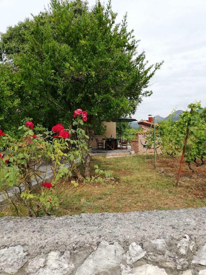 T-A Apartment Rijeka Crnojevica Phòng bức ảnh